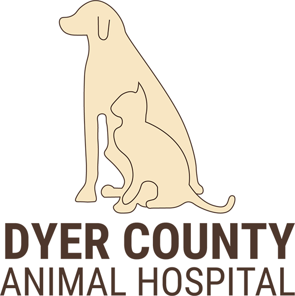 Best Veterinary Hospital In Dyersburg, TN 38024