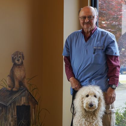 Dr Steve Allen Dr Steve Allen